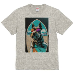 XReBbVeA TVc  j[NfUCfB[X t@  t vg lJWA 킢 lԗp Mtg I ҏ΍ T[t{[h XReBbVeA