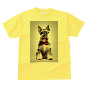 ~j`AViEU[ TVc  j[NfUCfB[X t@  t vg lJWA 킢 lԗp Mtg I ҏ΍ lN^C ~j`AViEU