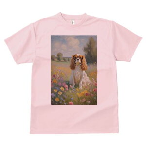 LoA TVc  j[NfUCY LbY t@  t vg lJWA 킢 lԗp Mtg I ҏ΍ Ԕ LoA i G