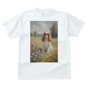 LoA TVc  j[NfUCfB[X t@  t vg lJWA 킢 lԗp Mtg I ҏ΍ Ԕ LoA i G