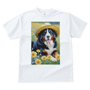 o[j[Y}EehbO TVc  j[NfUCfB[X t@  t vg lJWA 킢 lԗp Mtg I ҏ΍ Xq o[j[Y}Eeh