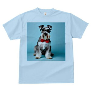 ~j`AViEU[ TVc  j[NfUCfB[X t@  t vg lJWA 킢 lԗp Mtg I ҏ΍ Kl ~j`AViEU[ 