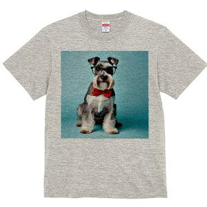 ~j`AViEU[ TVc  j[NfUCfB[X t@  t vg lJWA 킢 lԗp Mtg I ҏ΍ Kl ~j`AViEU[ 