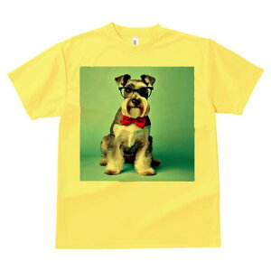 ~j`AViEU[ TVc  j[NfUCY LbY t@  t vg lJWA 킢 lԗp Mtg I ҏ΍ Kl ~j`AViEU