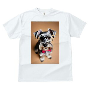 ~j`AViEU[ TVc  j[NfUCY LbY t@  t vg lJWA 킢 lԗp Mtg I ҏ΍ Kl ~j`AViEU