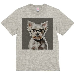 EGXgnChzCgeA TVc  j[NfUCY LbY t@  t vg lJWA 킢 lԗp Mtg I ҏ΍ Kl EGXgn