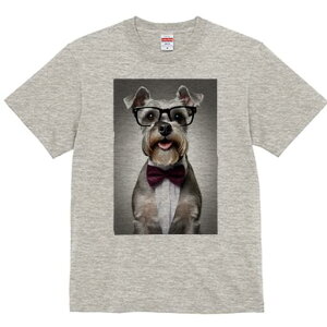 ~j`AViEU[ TVc  j[NfUCfB[X t@  t vg lJWA 킢 lԗp Mtg I ҏ΍ Kl ~j`AViEU[ 