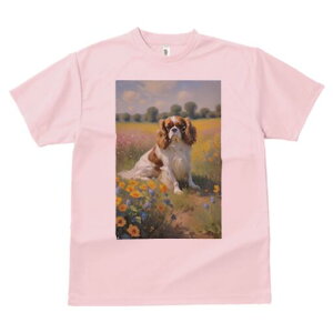 LoA TVc  j[NfUCfB[X t@  t vg lJWA 킢 lԗp Mtg I ҏ΍ Ԕ LoA i G