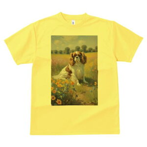 LoA TVc  j[NfUCfB[X t@  t vg lJWA 킢 lԗp Mtg I ҏ΍ Ԕ LoA i G