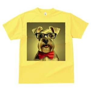 ~j`AViEU[ TVc  j[NfUCfB[X t@  t vg lJWA 킢 lԗp Mtg I ҏ΍ Kl ~j`AViEU[ 