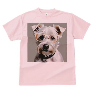 ~j`AViEU[ TVc  j[NfUCfB[X t@  t vg lJWA 킢 lԗp Mtg I ҏ΍ Kl ~j`AViEU[