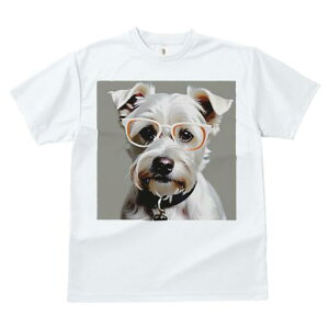 ~j`AViEU[ TVc  j[NfUCfB[X t@  t vg lJWA 킢 lԗp Mtg I ҏ΍ Kl ~j`AViEU[