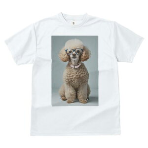 v[h TVc  j[NfUCfB[X t@  t vg lJWA 킢 lԗp Mtg I ҏ΍ Kl v[h 