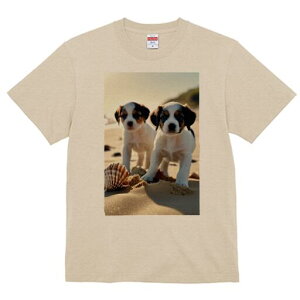 WbNbZeA TVc  j[NfUCfB[X t@  t vg lJWA 킢 lԗp Mtg I ҏ΍ l WbNbZeA L