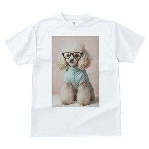 v[h TVc  j[NfUCfB[X t@  t vg lJWA 킢 lԗp Mtg I ҏ΍ Kl v[h 