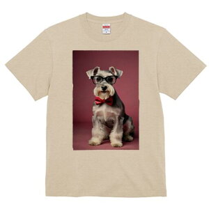 ~j`AViEU[ TVc  j[NfUCY LbY t@  t vg lJWA 킢 lԗp Mtg I ҏ΍ Kl ~j`AViEU