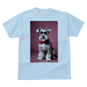 ~j`AViEU[ TVc  j[NfUCY LbY t@  t vg lJWA 킢 lԗp Mtg I ҏ΍ Kl ~j`AViEU