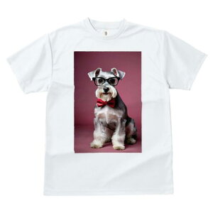 ~j`AViEU[ TVc  j[NfUCfB[X t@  t vg lJWA 킢 lԗp Mtg I ҏ΍ Kl ~j`AViEU[ 