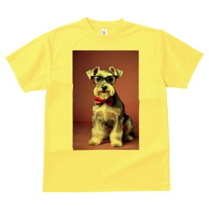 ~j`AViEU[ TVc  j[NfUCfB[X t@  t vg lJWA 킢 lԗp Mtg I ҏ΍ Kl ~j`AViEU[ 