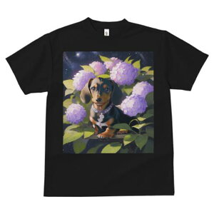 _bNXth TVc  j[NfUCfB[X t@  t vg lJWA 킢 lԗp Mtg I ҏ΍ AWTC _bNXth   