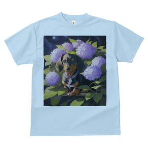 _bNXth TVc  j[NfUCY LbY t@  t vg lJWA 킢 lԗp Mtg I ҏ΍ AWTC _bNXth   