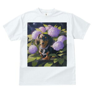 _bNXth TVc  j[NfUCY LbY t@  t vg lJWA 킢 lԗp Mtg I ҏ΍ AWTC _bNXth   