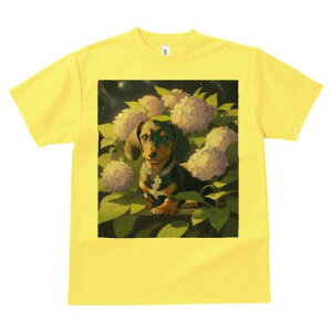 _bNXth TVc  j[NfUCfB[X t@  t vg lJWA 킢 lԗp Mtg I ҏ΍ AWTC _bNXth   