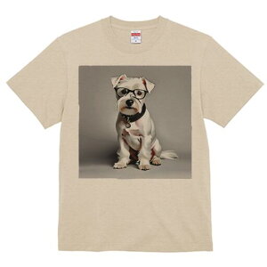 EGXgnChzCgeA TVc  j[NfUCfB[X t@  t vg lJWA 킢 lԗp Mtg I ҏ΍ Kl EGXgnC