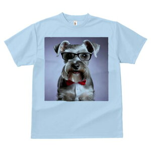 ~j`AViEU[ TVc  j[NfUCfB[X t@  t vg lJWA 킢 lԗp Mtg I ҏ΍ Kl ~j`AViEU[ 