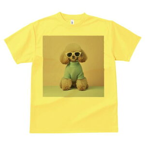 gCv[h TVc  j[NfUCfB[X t@  t vg lJWA 킢 lԗp Mtg I ҏ΍ TOX gCv[h Z[^[