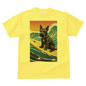 XReBbVeA TVc  j[NfUCfB[X t@  t vg lJWA 킢 lԗp Mtg I ҏ΍ T[tB XReBbVeA 