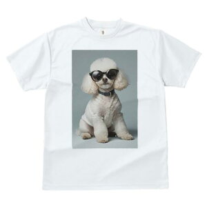 v[h TVc  j[NfUCfB[X t@  t vg lJWA 킢 lԗp Mtg I ҏ΍ TOX v[h 