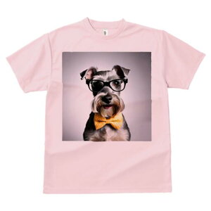 ~j`AViEU[ TVc  j[NfUCfB[X t@  t vg lJWA 킢 lԗp Mtg I ҏ΍ Kl ~j`AViEU[ 