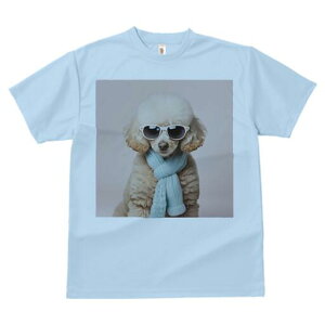 v[h TVc  j[NfUCfB[X t@  t vg lJWA 킢 lԗp Mtg I ҏ΍ TOX v[h XJ[t