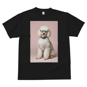 v[h TVc  j[NfUCY LbY t@  t vg lJWA 킢 lԗp Mtg I ҏ΍ Kl v[h 