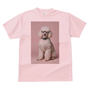 v[h TVc  j[NfUCY LbY t@  t vg lJWA 킢 lԗp Mtg I ҏ΍ Kl v[h 