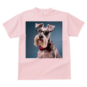 ~j`AViEU[ TVc  j[NfUCfB[X t@  t vg lJWA 킢 lԗp Mtg I ҏ΍ Kl ~j`AViEU[ 