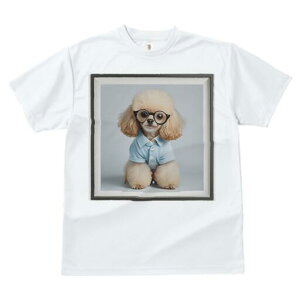 gCv[h TVc  j[NfUCfB[X t@  t vg lJWA 킢 lԗp Mtg I ҏ΍ Kl gCv[h Vc