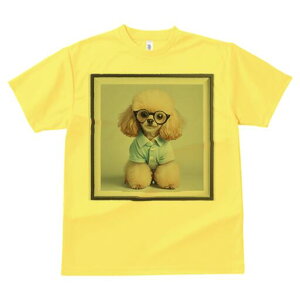 gCv[h TVc  j[NfUCfB[X t@  t vg lJWA 킢 lԗp Mtg I ҏ΍ Kl gCv[h Vc