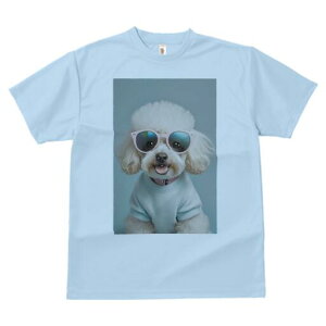 gCv[h TVc  j[NfUCfB[X t@  t vg lJWA 킢 lԗp Mtg I ҏ΍ TOX gCv[h TVc 