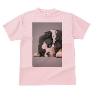 o[j[Y}EehbO TVc  j[NfUCfB[X t@  t vg lJWA 킢 lԗp Mtg I ҏ΍ o[j[Y}EehbO