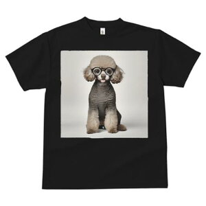 gCv[h TVc  j[NfUCfB[X t@  t vg lJWA 킢 lԗp Mtg I ҏ΍ Kl gCv[h