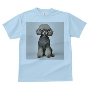 gCv[h TVc  j[NfUCfB[X t@  t vg lJWA 킢 lԗp Mtg I ҏ΍ Kl gCv[h