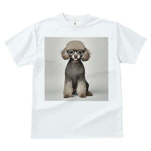 gCv[h TVc  j[NfUCfB[X t@  t vg lJWA 킢 lԗp Mtg I ҏ΍ Kl gCv[h