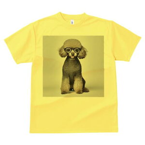 gCv[h TVc  j[NfUCY LbY t@  t vg lJWA 킢 lԗp Mtg I ҏ΍ Kl gCv[h