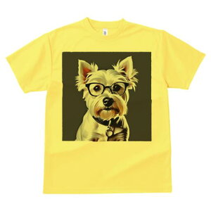 EGXgnChzCgeA TVc  j[NfUCfB[X t@  t vg lJWA 킢 lԗp Mtg I ҏ΍ Kl EGXgnC