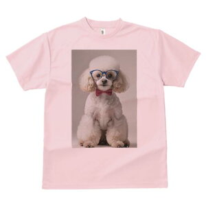 v[h TVc  j[NfUCfB[X t@  t vg lJWA 킢 lԗp Mtg I ҏ΍ Kl v[h lN^C