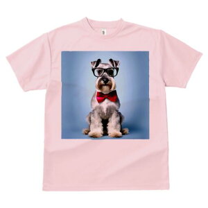 ~j`AViEU[ TVc  j[NfUCY LbY t@  t vg lJWA 킢 lԗp Mtg I ҏ΍ Kl ~j`AViEU