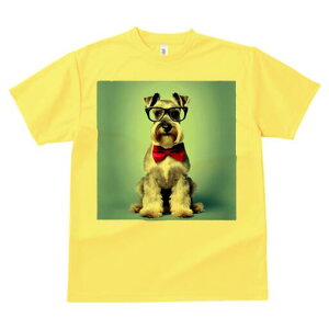 ~j`AViEU[ TVc  j[NfUCfB[X t@  t vg lJWA 킢 lԗp Mtg I ҏ΍ Kl ~j`AViEU[ 