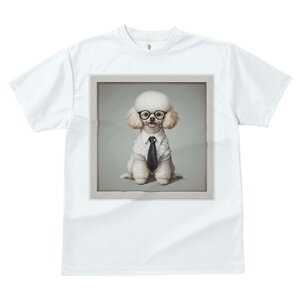 gCv[h TVc  j[NfUCfB[X t@  t vg lJWA 킢 lԗp Mtg I ҏ΍ Kl gCv[h lN^C Vc